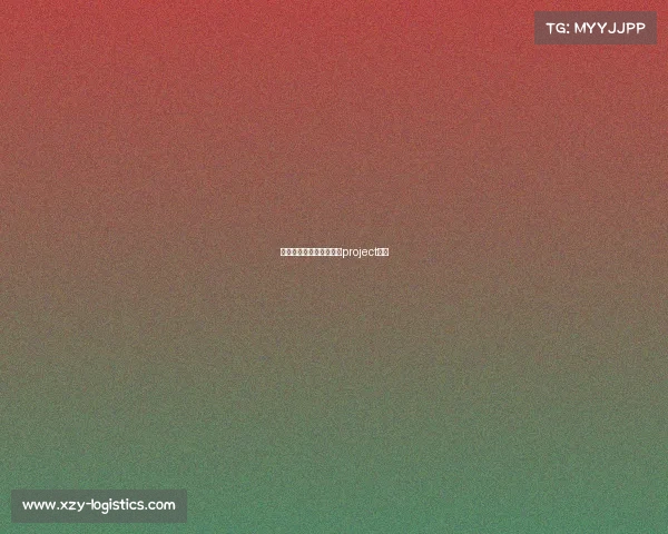 东方赛车队赛事视频东方project赛车